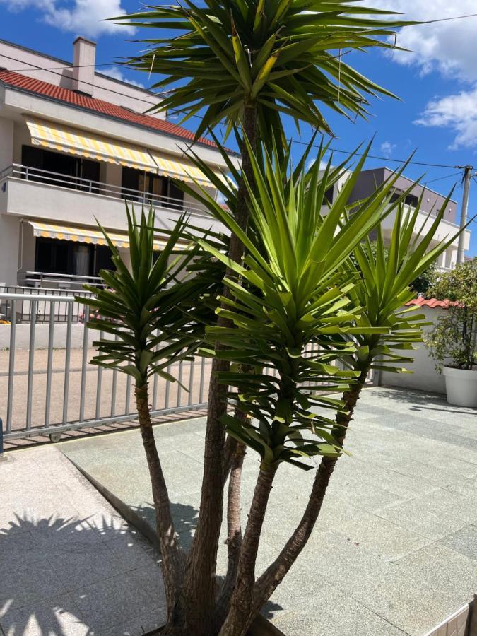 Apartment Lili Flora Zadar