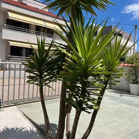 Apartments Lili Flora Zadar Exterior foto